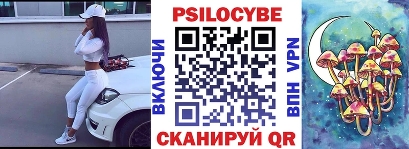 Купить закладки  Заводоуковск  Галлюциногенные грибы GOLDEN TEACHER 